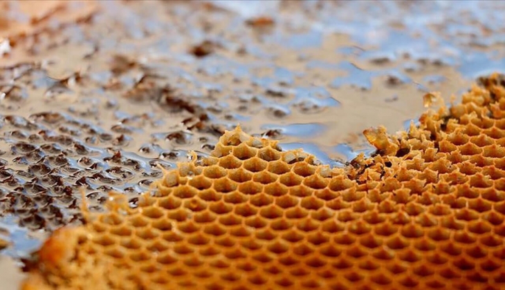 Bal fiyatları sinyal veriyor! Üreticiler uyardı! İşte detaylar!