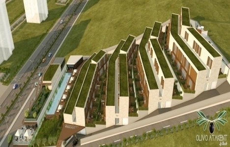 Olivo Atakent projesi!