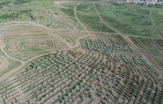 Atatürk Orman Çiftliği nin imara açılmasına mahkemeden dur kararı!