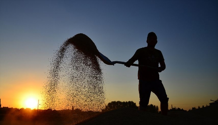 Çiftçiye ekonomik destek! Düşük faizli kredi borçları erteleniyor! O kişiler faydalanacak!