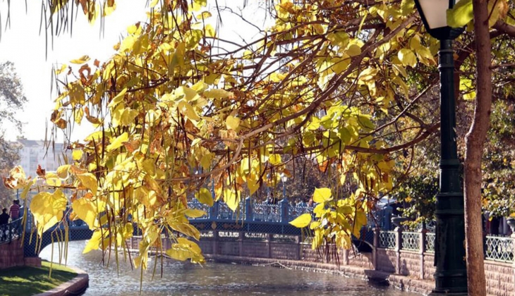 Eskişehir Büyükşehir'den 10 yıllığına kiralık yeme içme alanı!