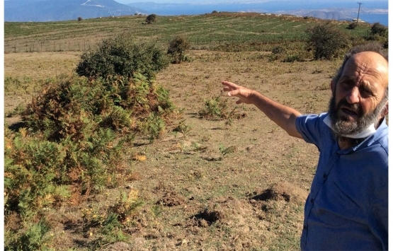 Marmara Adası sakinleri mera alanlarının kiralanmasına isyan etti!