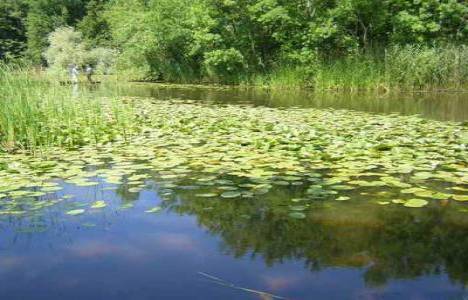 Mudurnu Çayını kirleten Tekstil fabrikasına 121 Bin 908 TL ceza!
