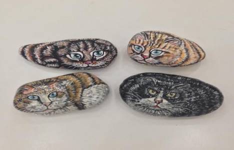 Midtown Bodrum AVM'de Can Dostlarım sergisi 1 Haziran'da açılıyor!