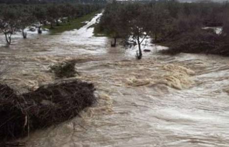 Niğde'de su baskını! Patates tarlaları sular içinde!