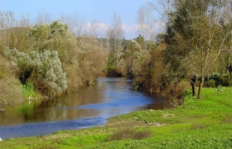 Nilüfer Çayı temizlenecek!