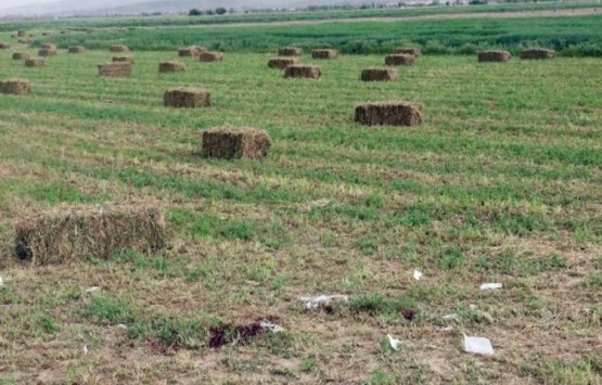 Afyonkarahisar'da arazi kavgası: 2 ölü!