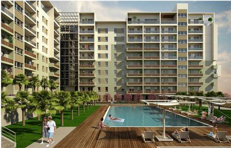 Siesta Oxygen görselleri!