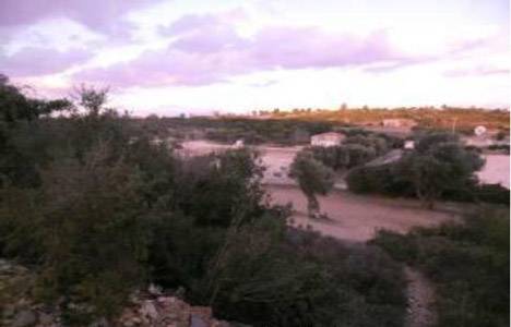 Yayla Enerji İnşaat Çeşme zeytin ağaçlı tarla değerleme raporu!