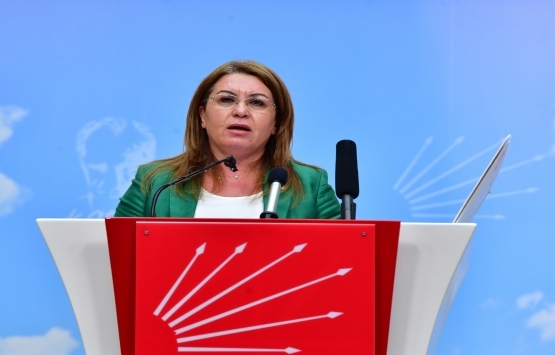 Gülizar Biçer Karaca'dan Kanal İstanbul açıklaması!