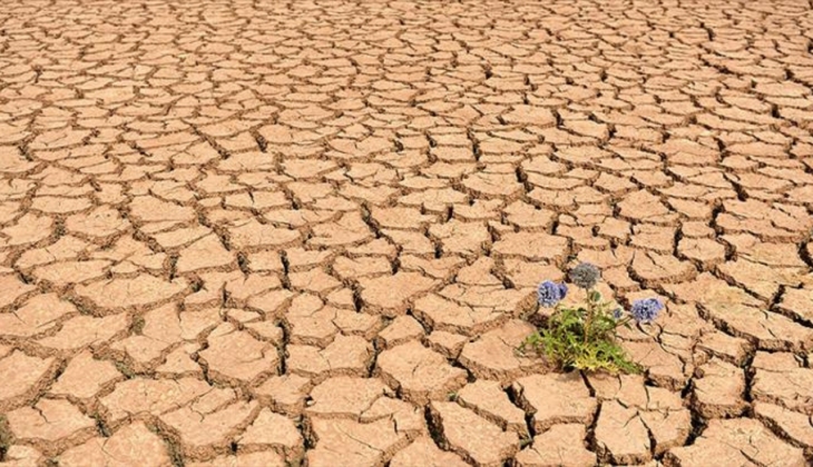 Gıda enflasyonu bu nedenden dolayı her yıl yüzde 3 artabilir!