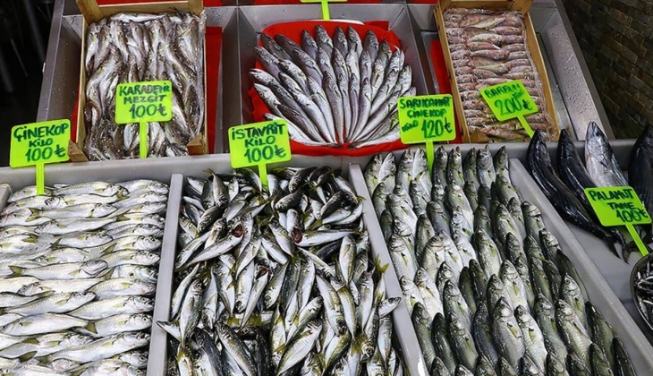 Balık fiyatları katlandı: İstanbul Hali nde tekir 100, levrek 250, istavrit 80 TL! Palamudun kilosu 44-56 TL arasında!