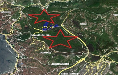 Kiptaş ve Merter Ailesi nden Beykoz Ormanı için sit alanı hamlesi!