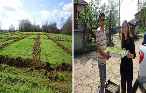 Kocaeli Organik Ürünler Pazarı Yuvam Akarca’da kuruluyor!