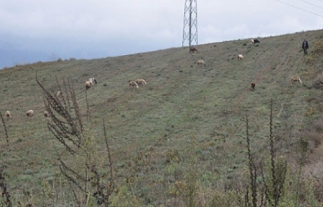 İnegölspor Tesisleri ne zaman yapılacak?