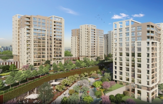 2019 da kaç yeni proje satışa çıktı?