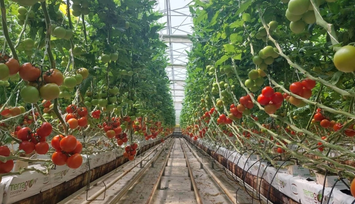 Bursa'nın 33 yıllık şirketlerinden Çay Holding konkordato ilan etti!