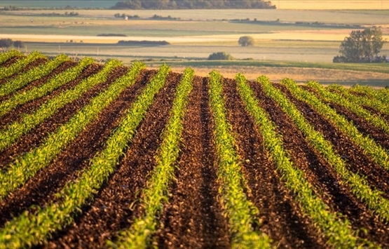 ÖİB 10 ildeki 20 arsayı satışa çıkardı!