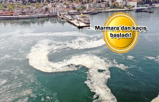 Emlak piyasasında müsilaj tehlikesi!