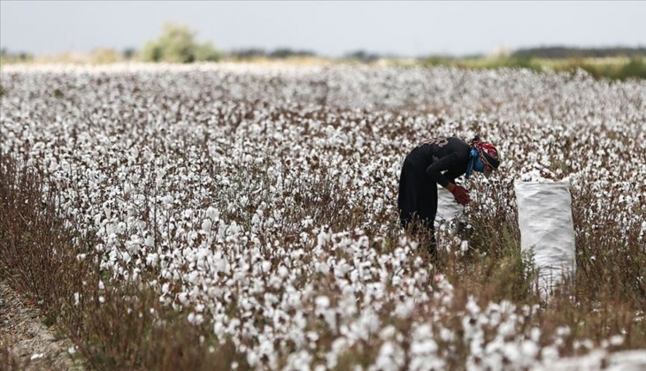 Çiftçilere kara haber! Açıklanan fiyat hayal kırıklığı yarattı!