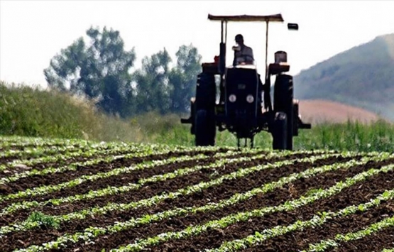 Çiftçilere müjde! Tarım destekleri ödemeleri bugünden itibaren hesaplara yatıyor!
