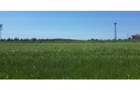 Silivri Değirmenköy arsaları değerleniyor!