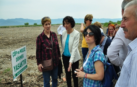 İznik Gölü'ne yapılan mesire alanına tepki!