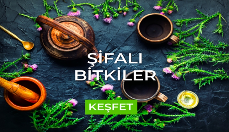 Mısır Çarşısı ndan doğan lezzet! Arifoğlu’nda bitki setleri avantajlı fırsatlarla! İşte 22 Eylül 2022 fiyat listesi