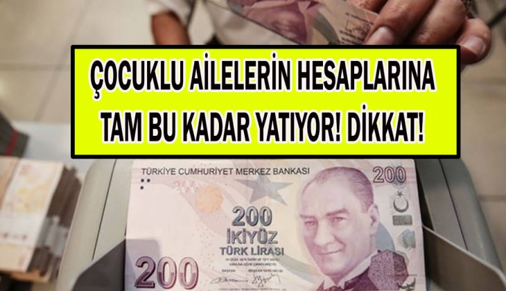 12 ay boyunca hesaplara 650 TL yatıyor! e-Devlet'ten başvuran PTT'den alabilir! Dar gelirli aileler dikkat!