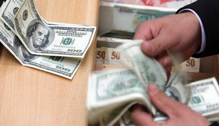 Ünlü ekonomistten çarpıcı dolar açıklaması! Serbest bırakılırsa 21 TL ye düşer!