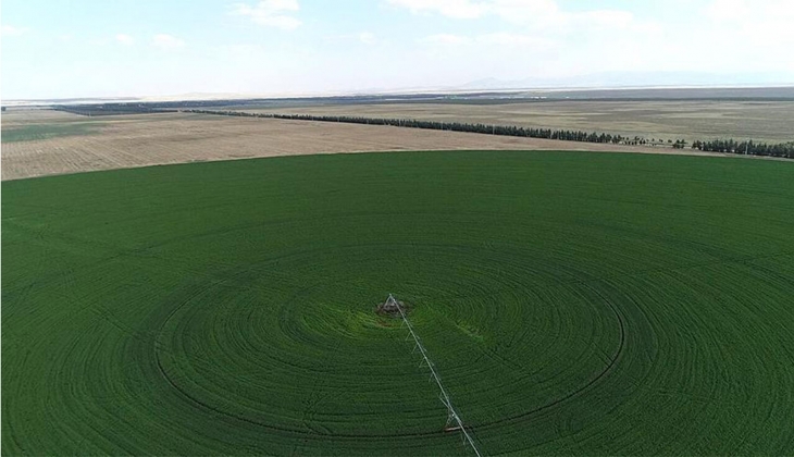Samsun Atakum da satılık 3 arsa! İhalesi 14 Kasım da!
