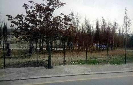 Ankapark ne durumda?