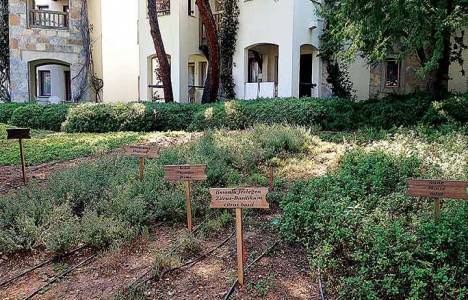 Turizmdeki yeni trend yeşil oteller!