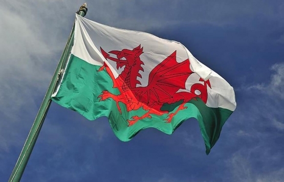 Galler'de ev fiyatına satılık köy!