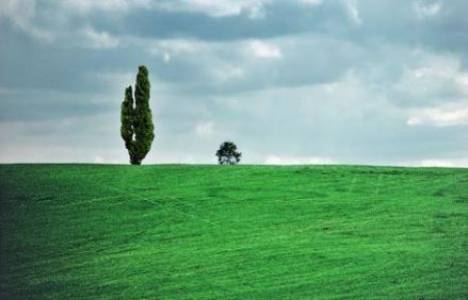 2b arazi rayiç bedelleri sorgulaması nasıl yapılır?