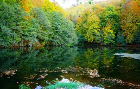 Yedigöller, fotoğraf yarışmasıyla tanıtılacak!