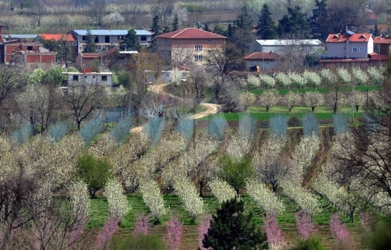 Bursa kentin zirvesinin gündeminde ‘afet riski’ var!