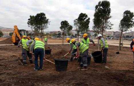 Maltepe Dolgu Alanı yeşillendiriliyor!