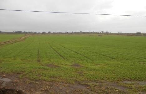 miras kalan tarım arazilerinin intikali