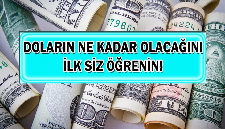 1 dolar 10 günden bile az sürede işte bu kadar olacak! Analistlerden peş peşe açıklama geldi! Bu rakamı ilk siz öğrenin!