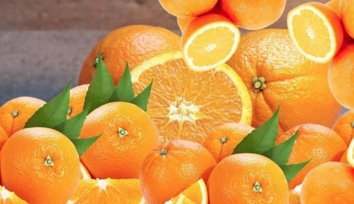 Narenciye yatırımcıları dikkat! 1.935.000 kilo valencia portakalı satılıyor! 21 Şubat’taki ihaleyi kaçırmayın!