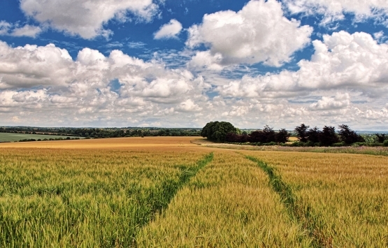Mahkemelik olan arsa hisseleri devredebilir mi?