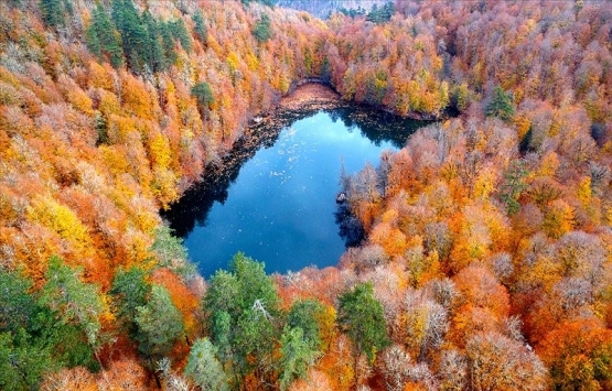 Türkiye'de 3,2 milyon hektar alana 