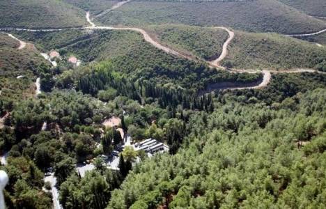 Bülbül Dağı'nda 7 yıldır süren ağaçlandırma çalışmaları tamamlandı!