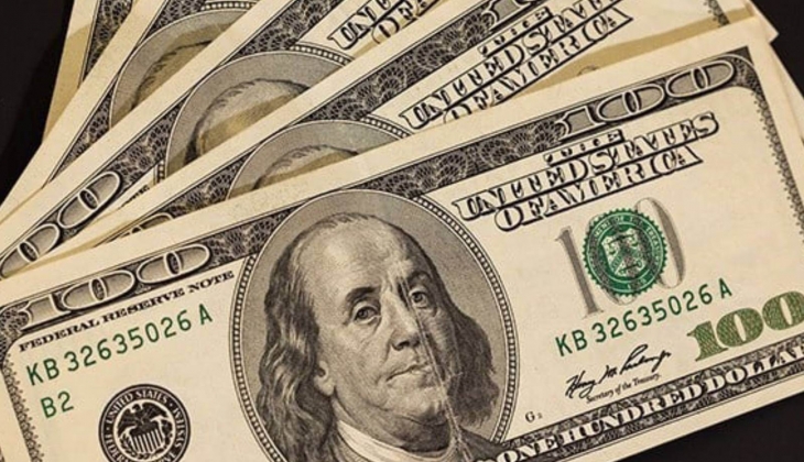 Devlet resmen açıkladı! Dolar o tarihte 51 TL olacak!