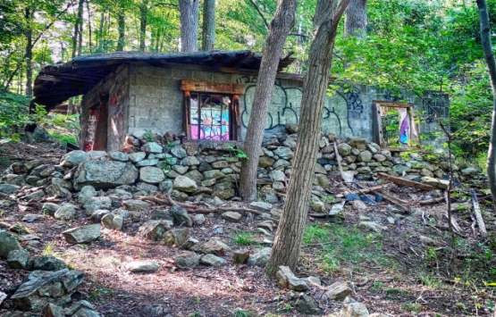 Orman alanlarındaki yapılar yapı kayıt belgesi alabilir mi?