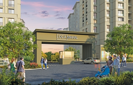 12 soruda Loca Mahal projesi!