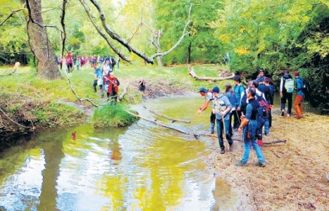 iğneadaya nükleer santral mi yapılacak
