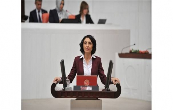 İznik Gölü çevresindeki betonlaşma meclis gündeminde!