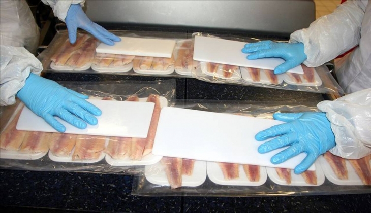 Dondurulmuş balık alırken nelere dikkat etmeliyiz?